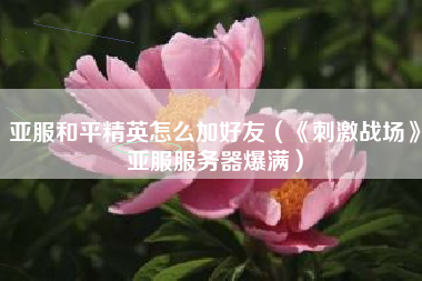 亚服和平精英怎么加好友（《刺激战场》亚服服务器爆满）