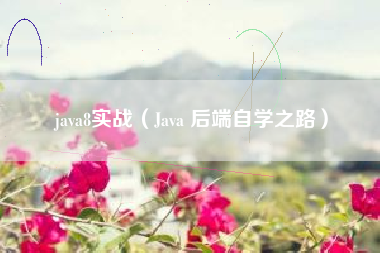 java8实战（Java 后端自学之路）