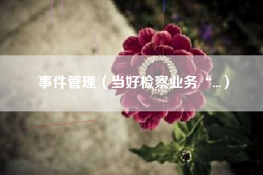 事件管理（当好检察业务“...）