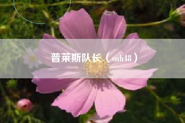 普莱斯队长（snh48）