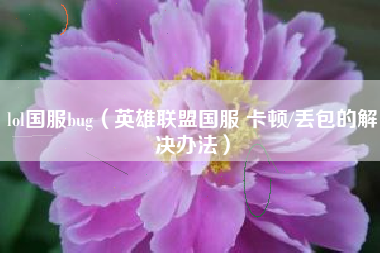 lol国服bug（英雄联盟国服 卡顿/丢包的解决办法）