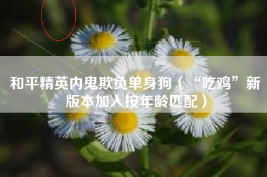 和平精英内鬼欺负单身狗（“吃鸡”新版本加入按年龄匹配）