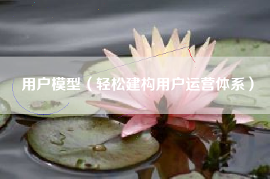 用户模型（轻松建构用户运营体系）