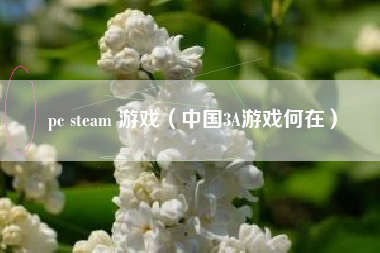 pc steam 游戏（中国3A游戏何在）
