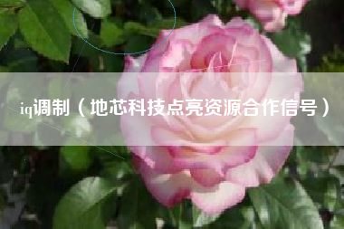 iq调制（地芯科技点亮资源合作信号）