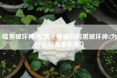 暗黑破坏神3配置（电脑的暗黑破坏神3为什么没有单机版）