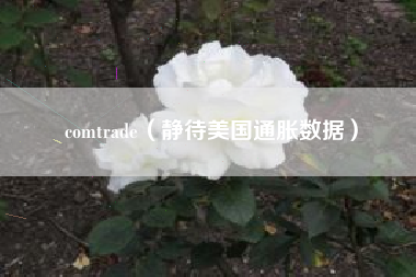 comtrade（静待美国通胀数据）
