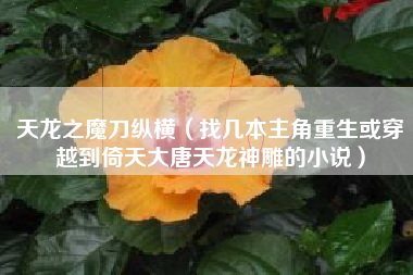 天龙之魔刀纵横（找几本主角重生或穿越到倚天大唐天龙神雕的小说）