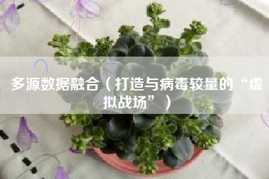 多源数据融合（打造与病毒较量的“虚拟战场”）