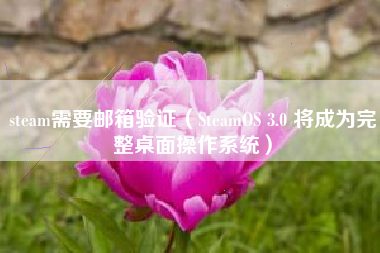 steam需要邮箱验证（SteamOS 3.0 将成为完整桌面操作系统）