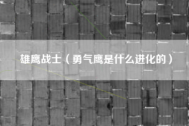 雄鹰战士（勇气鹰是什么进化的）
