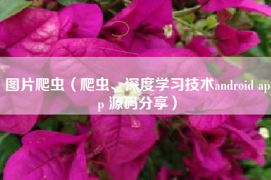 图片爬虫（爬虫、深度学习技术android app 源码分享）