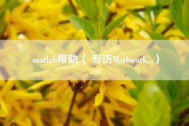 matlab帮助（ 专访Mathwork...）