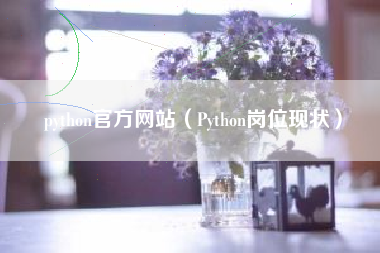 python官方网站（Python岗位现状）
