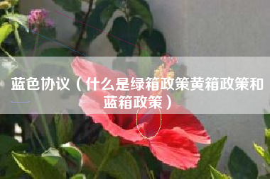 蓝色协议（什么是绿箱政策黄箱政策和蓝箱政策）