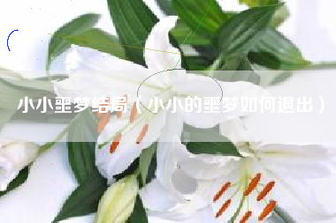 小小噩梦结局（小小的噩梦如何退出）