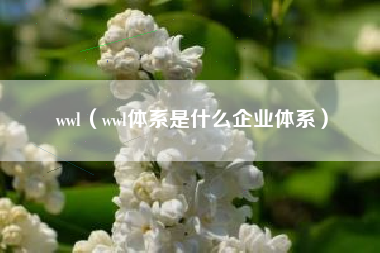 wwl（wwl体系是什么企业体系）