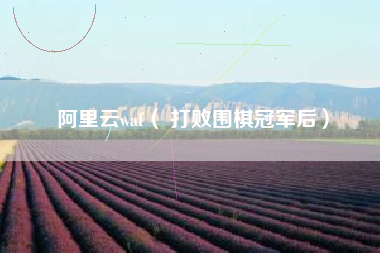 阿里云waf（ 打败围棋冠军后）
