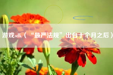 游戏sdk（“最严法规”出台十个月之后）