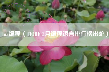 lua编程（TIOBE 3月编程语言排行榜出炉）