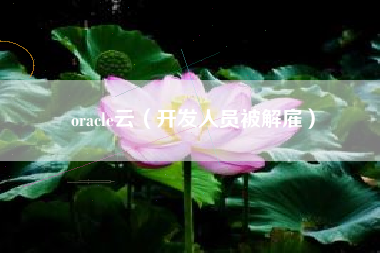 oracle云（开发人员被解雇）