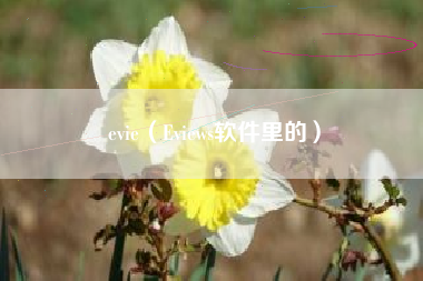 evie（Eviews软件里的）