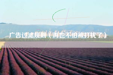 广告过滤规则（再也不怕被打扰了）