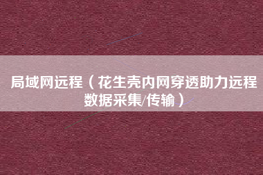 局域网远程（花生壳内网穿透助力远程数据采集/传输）