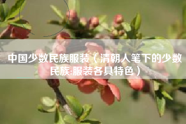 中国少数民族服装（清朝人笔下的少数民族:服装各具特色）