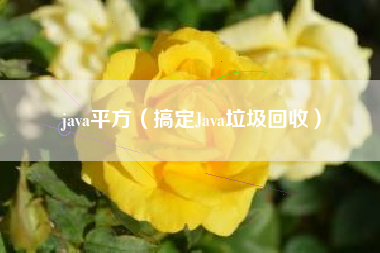java平方（搞定Java垃圾回收）