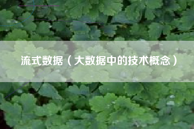 流式数据（大数据中的技术概念）