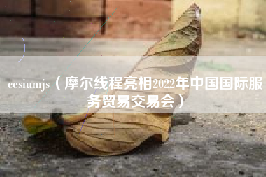 cesiumjs（摩尔线程亮相2022年中国国际服务贸易交易会）