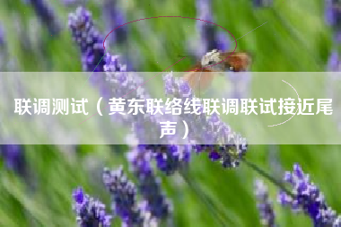 联调测试（黄东联络线联调联试接近尾声）