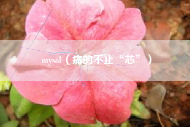 mysol（痛的不止“芯”）