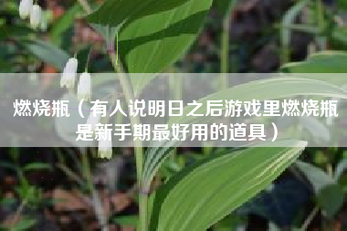 燃烧瓶（有人说明日之后游戏里燃烧瓶是新手期最好用的道具）