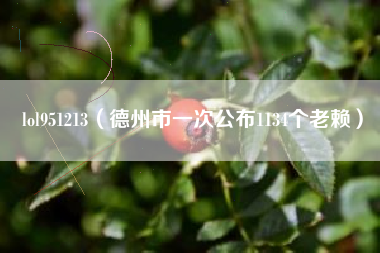 lol951213（德州市一次公布1134个老赖）