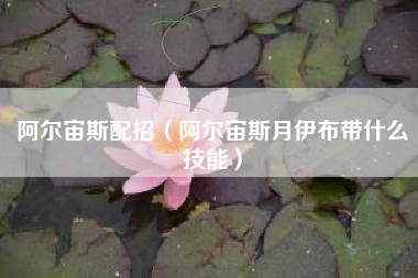 阿尔宙斯配招（阿尔宙斯月伊布带什么技能）