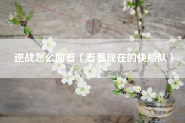 逆战怎么回看（看着现在的快船队）