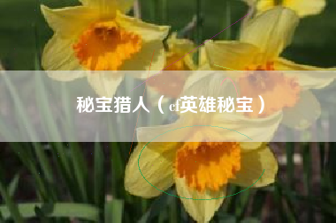 秘宝猎人（cf英雄秘宝）