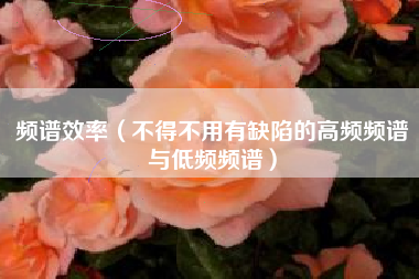 频谱效率（不得不用有缺陷的高频频谱与低频频谱）