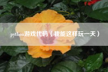 python游戏代码（我能这样玩一天）