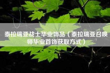 泰拉瑞亚战士毕业饰品（泰拉瑞亚召唤师毕业首饰获取方式）