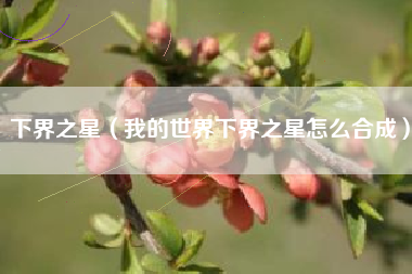 下界之星（我的世界下界之星怎么合成）