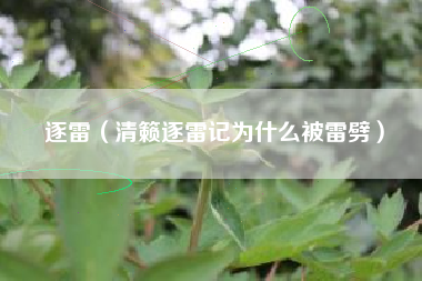逐雷（清籁逐雷记为什么被雷劈）