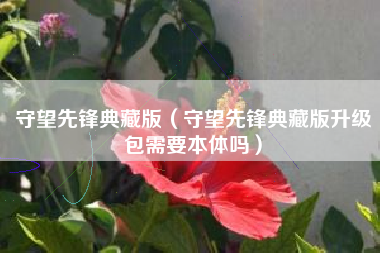 守望先锋典藏版（守望先锋典藏版升级包需要本体吗）