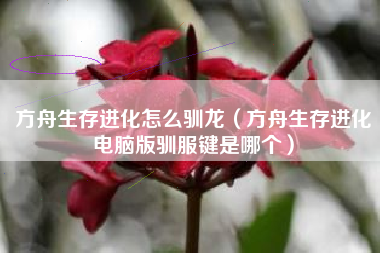 方舟生存进化怎么驯龙（方舟生存进化电脑版驯服键是哪个）