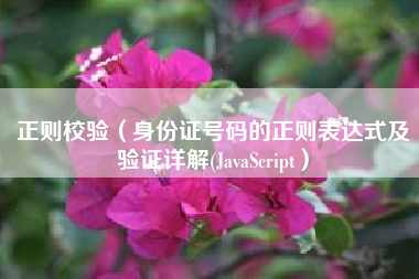 正则校验（身份证号码的正则表达式及验证详解(JavaScript）