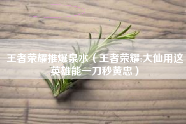 王者荣耀推爆泉水（王者荣耀:大仙用这英雄能一刀秒黄忠）