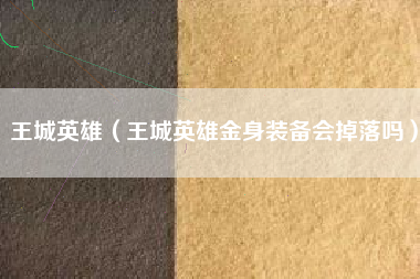 王城英雄（王城英雄金身装备会掉落吗）