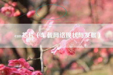 can芯片（车载网络现状与发展）